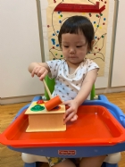 手眼協調課程~顏色敲敲樂