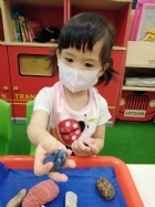 11006觸覺課程－奇怪的石頭