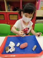 11006觸覺課程－奇怪的石頭