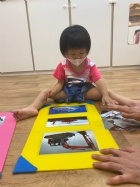 11108圖案的配對