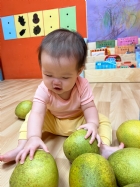 11109嘿咻嘿咻搬柚子!!
