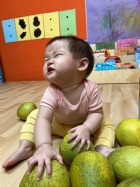 11109嘿咻嘿咻搬柚子!!