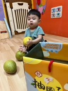 11109嘿咻嘿咻搬柚子!!