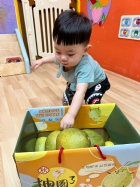 11109嘿咻嘿咻搬柚子!!
