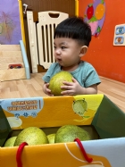 11109嘿咻嘿咻搬柚子!!