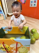11109嘿咻嘿咻搬柚子!!