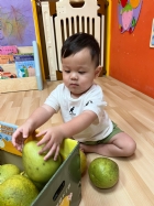 11109嘿咻嘿咻搬柚子!!