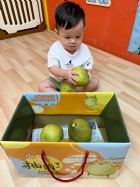 11109嘿咻嘿咻搬柚子!!