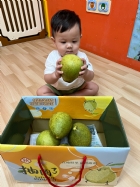11109嘿咻嘿咻搬柚子!!