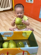 11109嘿咻嘿咻搬柚子!!
