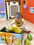 11109嘿咻嘿咻搬柚子!!