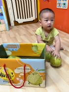 11109嘿咻嘿咻搬柚子!!