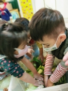 11101寶貝初體驗～醃酸菜PART1～按摩和加鹽