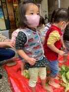 11101寶貝初體驗～醃酸菜PART2～踩菜囉!!