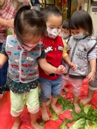 11101寶貝初體驗～醃酸菜PART2～踩菜囉!!