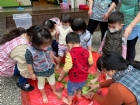 11101寶貝初體驗～醃酸菜PART2～踩菜囉!!