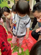 11101寶貝初體驗～醃酸菜PART2～踩菜囉!!