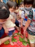 11101寶貝初體驗～醃酸菜PART2～踩菜囉!!