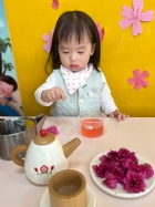 111年度春季大活動～可愛的櫻花凍