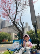 111荳苗寶貝們的賞櫻野餐～好快樂哦！好溫暖哦！