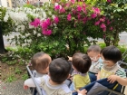 來去散散步～享受溫暖的陽光哦