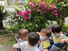 來去散散步～享受溫暖的陽光哦