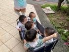 來去散散步～享受溫暖的陽光哦