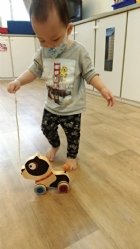 11104來吧來吧～來帶狗狗去散步哦！