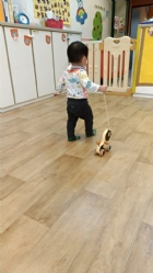 11104來吧來吧～來帶狗狗去散步哦！