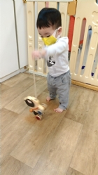 11104來吧來吧～來帶狗狗去散步哦！