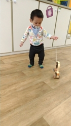 11104來吧來吧～來帶狗狗去散步哦！