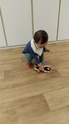 11104來吧來吧～來帶狗狗去散步哦！