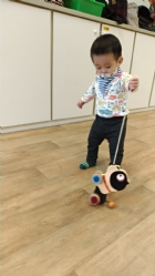 11104來吧來吧～來帶狗狗去散步哦！