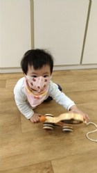 11104來吧來吧～來帶狗狗去散步哦！