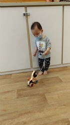 11104來吧來吧～來帶狗狗去散步哦！