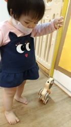 11104來吧來吧～來帶狗狗去散步哦！