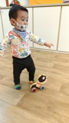 11104來吧來吧～來帶狗狗去散步哦！