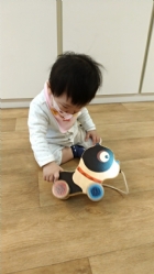 11104來吧來吧～來帶狗狗去散步哦！