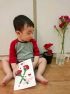 11105美麗的康乃馨，送給寶寶最喜歡的媽媽