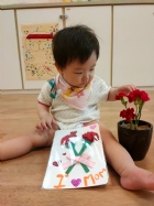 11105美麗的康乃馨，送給寶寶最喜歡的媽媽