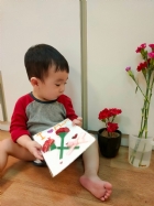 11105美麗的康乃馨，送給寶寶最喜歡的媽媽