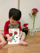 11105美麗的康乃馨，送給寶寶最喜歡的媽媽