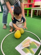 11209寶寶運動會~搬柚子比賽