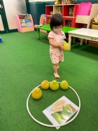 11209寶寶運動會~搬柚子比賽