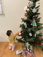 11112大家一起想辦法裝飾聖誕樹,寶貝們請幫忙哦!