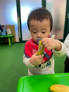 11201可愛的寶寶同樂會～小寶寶也來湊熱鬧哦！