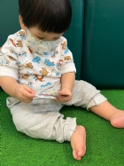 11201拼拼看~動物的拼圖