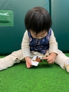 11201拼拼看~動物的拼圖