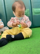 11201拼拼看~動物的拼圖