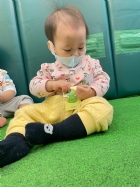 11201拼拼看~動物的拼圖